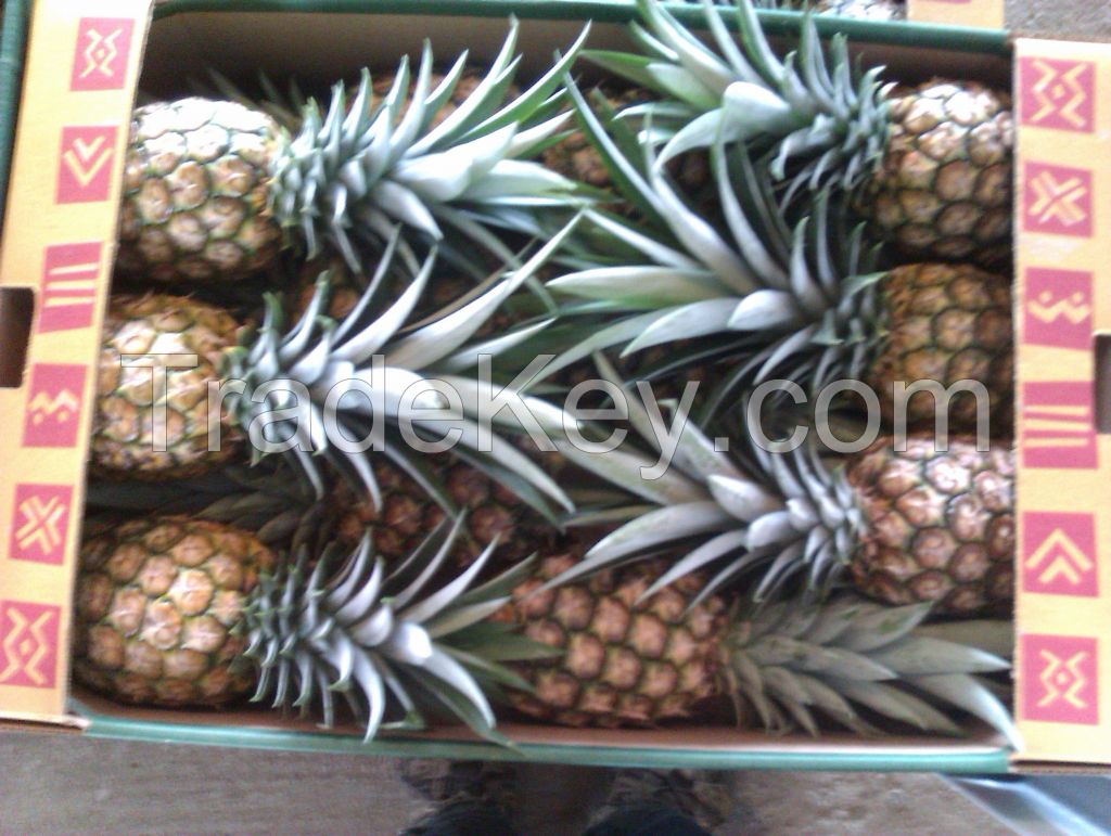 NEW OFFER: FRESH AND SWEET PINEAPPLES FROM WEST AFRICA
