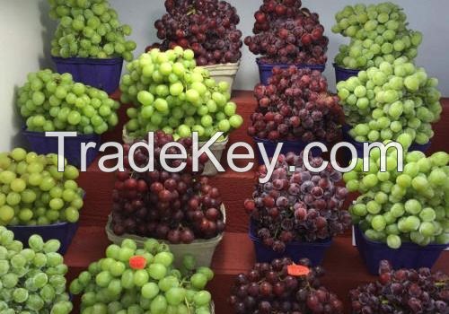 Wholesale price for fresh seedless green grapes per ton