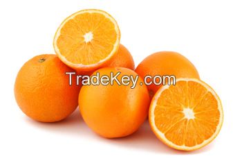 Fresh Navel Oranges- Premium Quality
