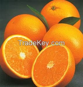 Fresh Valencia Oranges