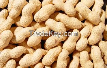 Raw peanuts inshell, good quality with affordable price