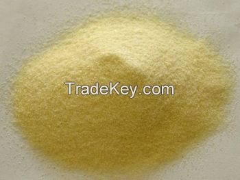 Durum wheat semolina Flour