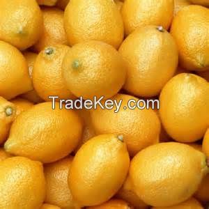 Fresh Yellow Eureka Lemons from South Africa- Best Quality and Price