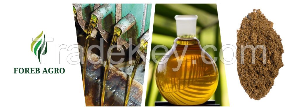 Crude Palm Kernel Oil (cPKO, PKO)