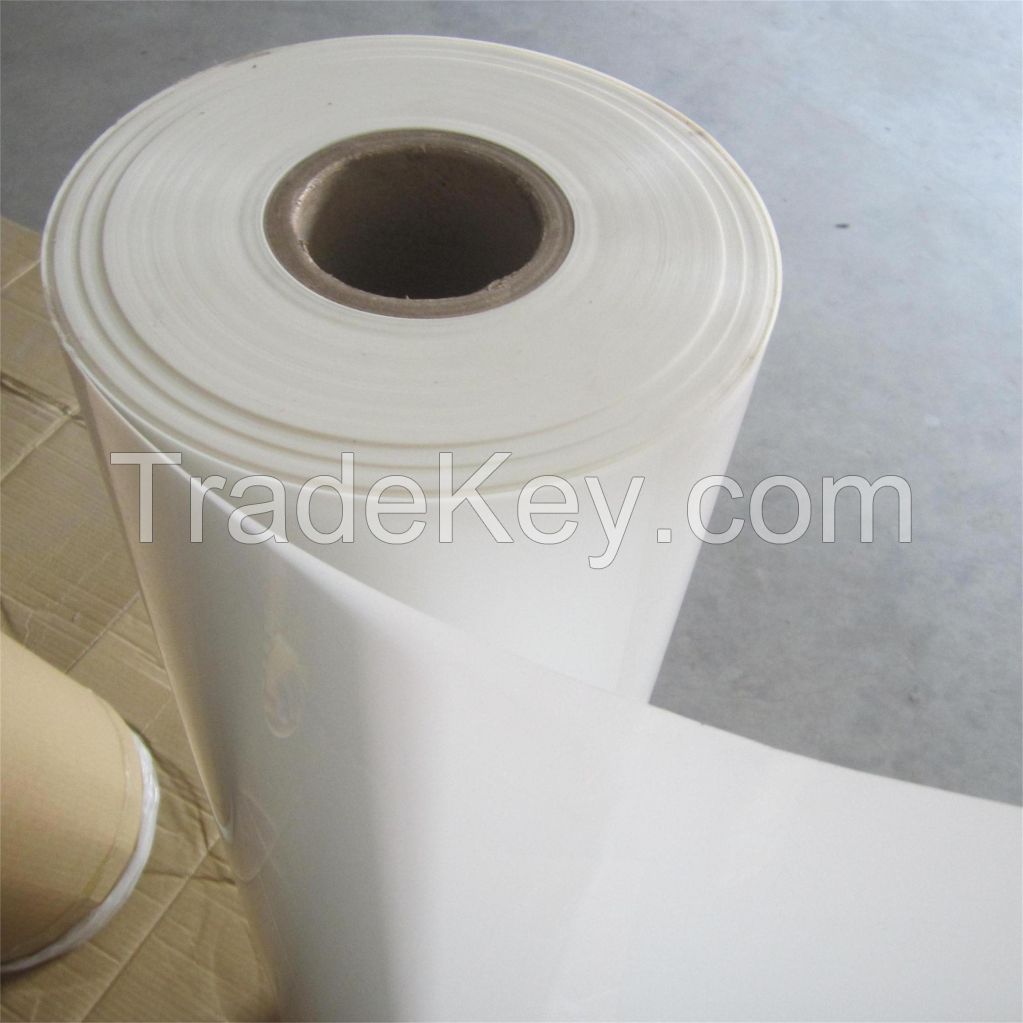 6020/6021 Polyester Film