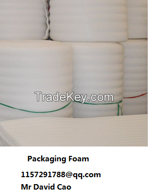 Packaging Foam
