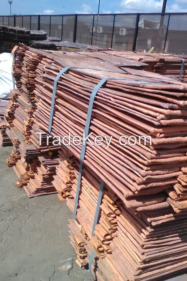 copper cathodes available for export