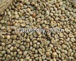 Robusta coffee beans available for sale