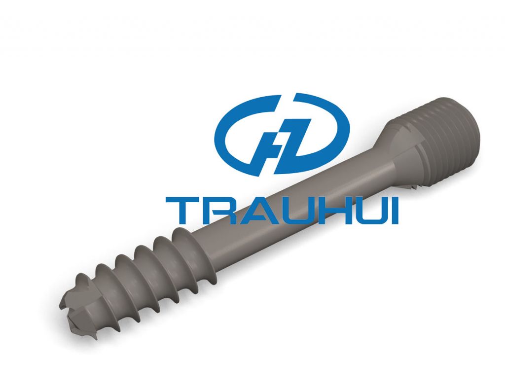 Orthopedic Cannullated Screw