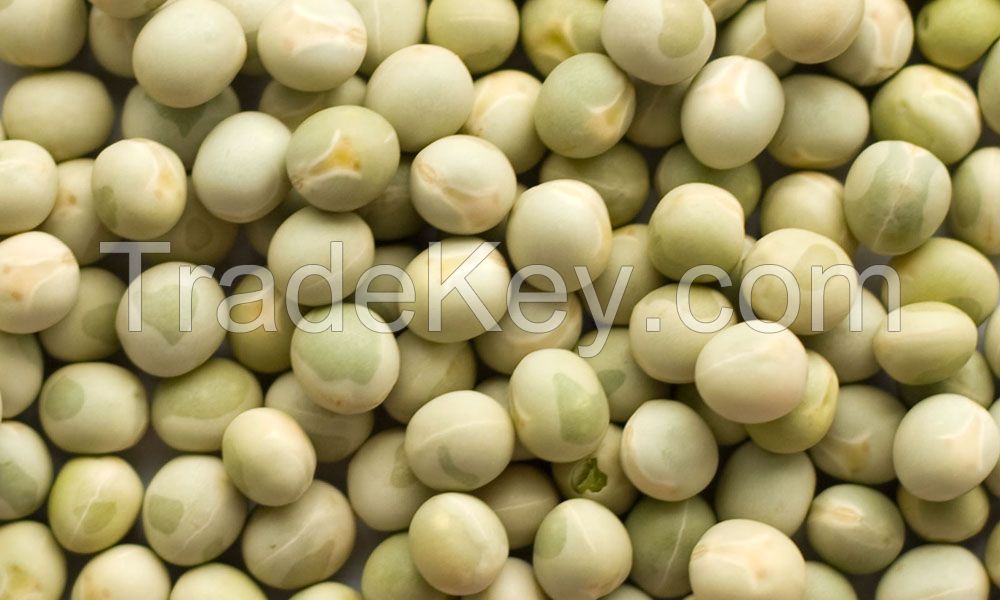 Peas, Whole Green Peas, Split Green Peas, Whole Yellow Peas, Yellow Spilt Peas, 