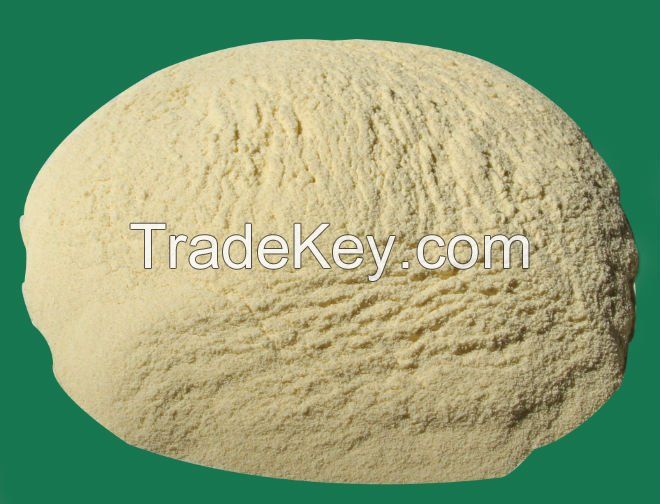 Durum Wheat Semolina Flour