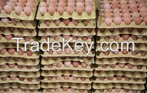 Fresh Chicken Eggs