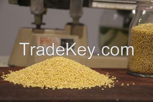 Hulled Millet Seed