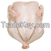 Halal Whole Frozen Chicken