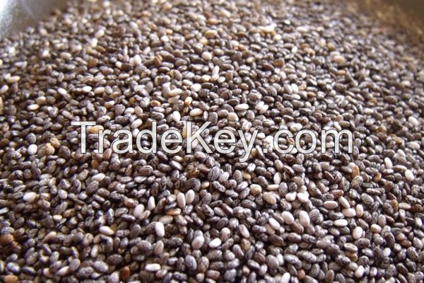 CHIA SEEDS FOR SALE