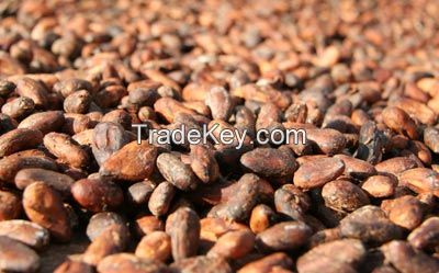 GOOD QUALITY COCOA BEANS AVAILABLE FOR SALE