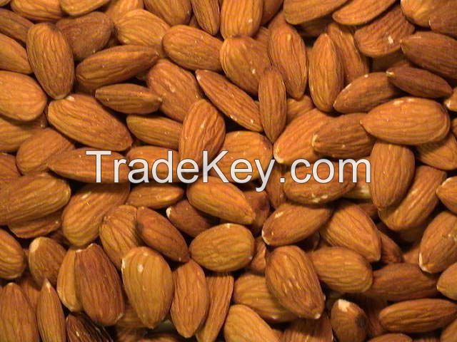 ALMOND NUTS FOR SALE