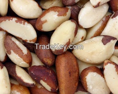 BRAZIL NUTS AVAILABLE