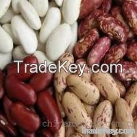 Black And White Kidney Beans & Sugar Beans
