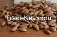Almond Nuts Supplier