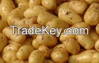 Fresh Irish potatoes