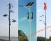 Vertical Axis Wind Turbine and Solar Hybrid Street Lights