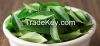 Curry Leaves