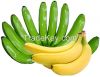 Fresh Ecuador Class A Green Cavendish Bananas