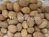 End of Year Promotion Sales Dried Nutmegs