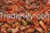 Sell DRIED SHRIMP SHELL-ANIMAL FEED