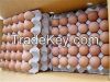 FRESH FARM WHITE AND BROWN CHICKEN EGGS