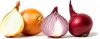 Fresh Onions-Most Competitive Quality & Prices