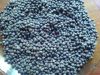 Goog quality Kapok Seed