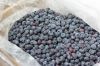 Fresh and frozen blueberry