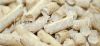 Sell wood pellets DIN quality, 6 mm