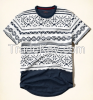 FULL CONTAINER HOLLISTER STYLES T-SHIRTS 100% COTTON