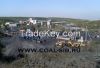 Russian Coal deliveries directly from KCC