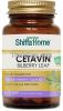 CETAVIN Bilberry Capsule for Diabetics Cinnamomun, Trigonella, Vaccinium Myrtillus Extract Mix Bilberry Leaf 2016 New Product