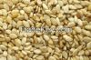 Natural Sesame Seeds Roasted & Hulled Sesame Seeds