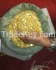 Gold Nuggets, gold dust and gold bar