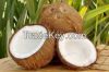 Fresh coconut exports