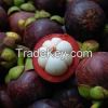 Supply Fresh Mangosteen Fruit From  With Best Price and Hight Quality