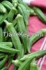 Fresh Okra , Lady finger Export to Bangladesh, Indonesia , Brazil , Ethiopia, Germany, Vietnam , Mexico, Philippines , Russia , 