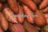 CHEAP FRESH SWEET POTATO/FROZEN SWEET POTATO