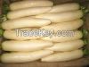 New Crop Fresh White Radish Prices Best Supplier white radish with good quality and low price