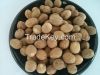 nutmeg extract/nutmeg powder/nutmeg seed