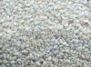 Hulled sesame seeds for sale