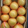 fresh pomelo