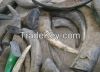 Bulk Exporter Buffalo Horn Tip/Natural Horn Blanks