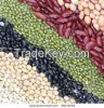 beans, kidney beans, coffee, white kidney beans